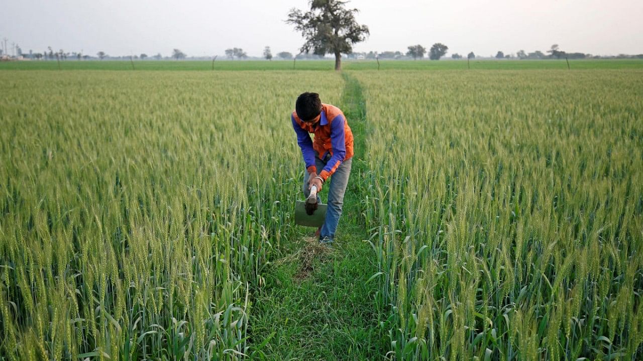 Representative image. Credit: Reuters File Photo