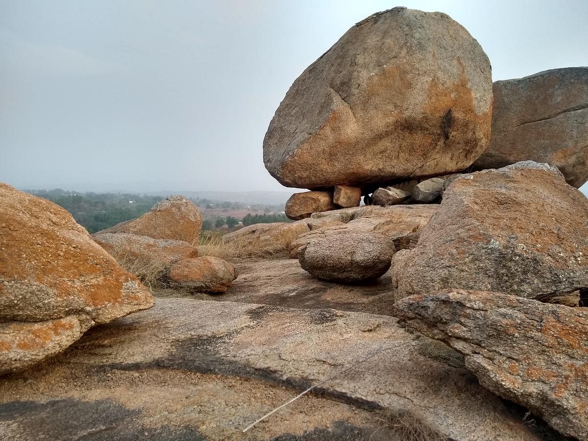 The rock formations near Savandurga, the site of the excursion, are believed to date back to over 2.5 billion years. 