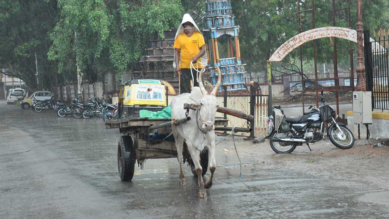 Bagalkote and Belagavi are on high alert and have been instructed to take all precautionary measures. Credit: DH Photo