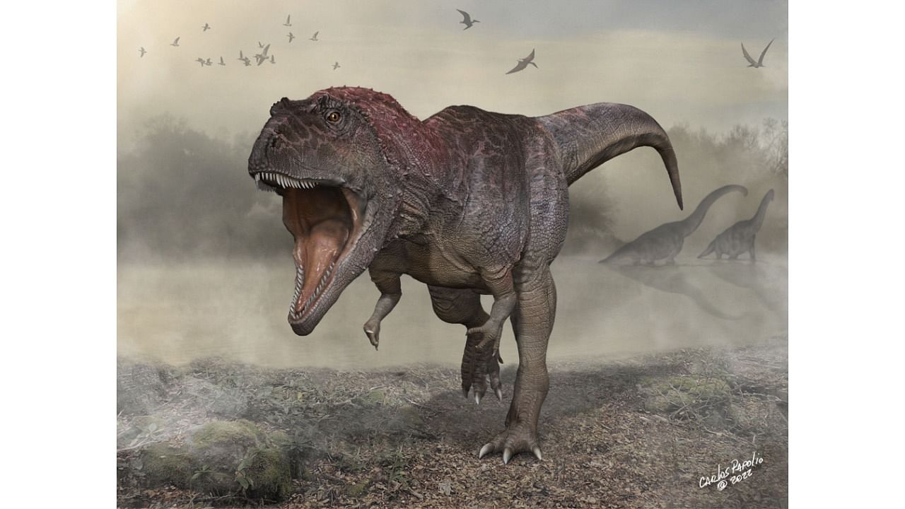 This December 13, 2021, illustration courtesy of the University of Minnesota shows a new dinosaur Meraxes gigas. Credit: AFP Photo/Carlos Papolio / University of Minnesota