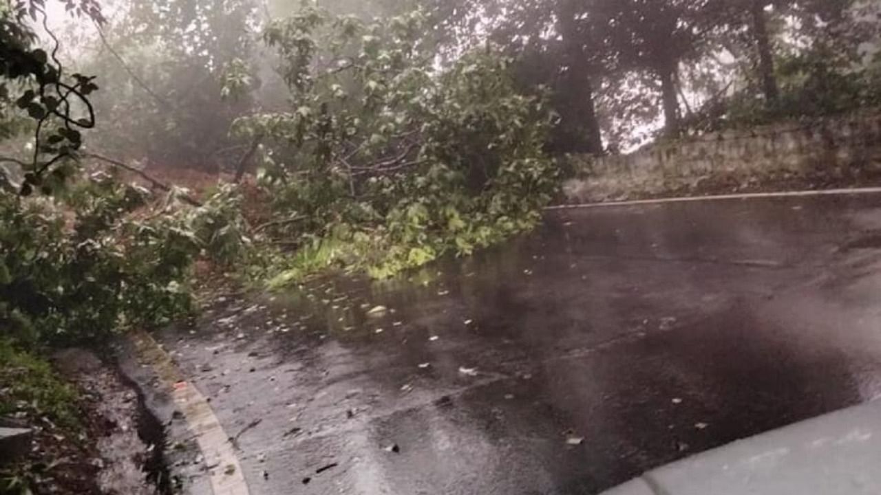 Heavy rain has resulted in landslide on Agumbe Ghat. Credit: DH Photo