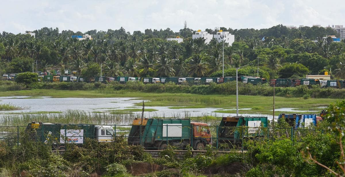 BBMP garbage trucks on the way to the landfill in Mittaganahalli, north Bengaluru. Credit: DH Photo