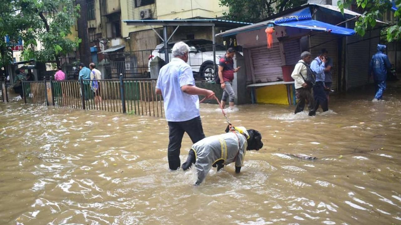 Heavy rains trigger flood-like situation in Maharashtra. Credit: IANS Photo