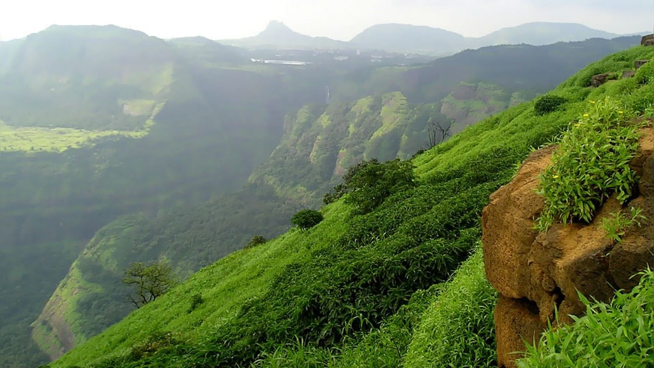 Western Ghats. Credit: DH Photo
