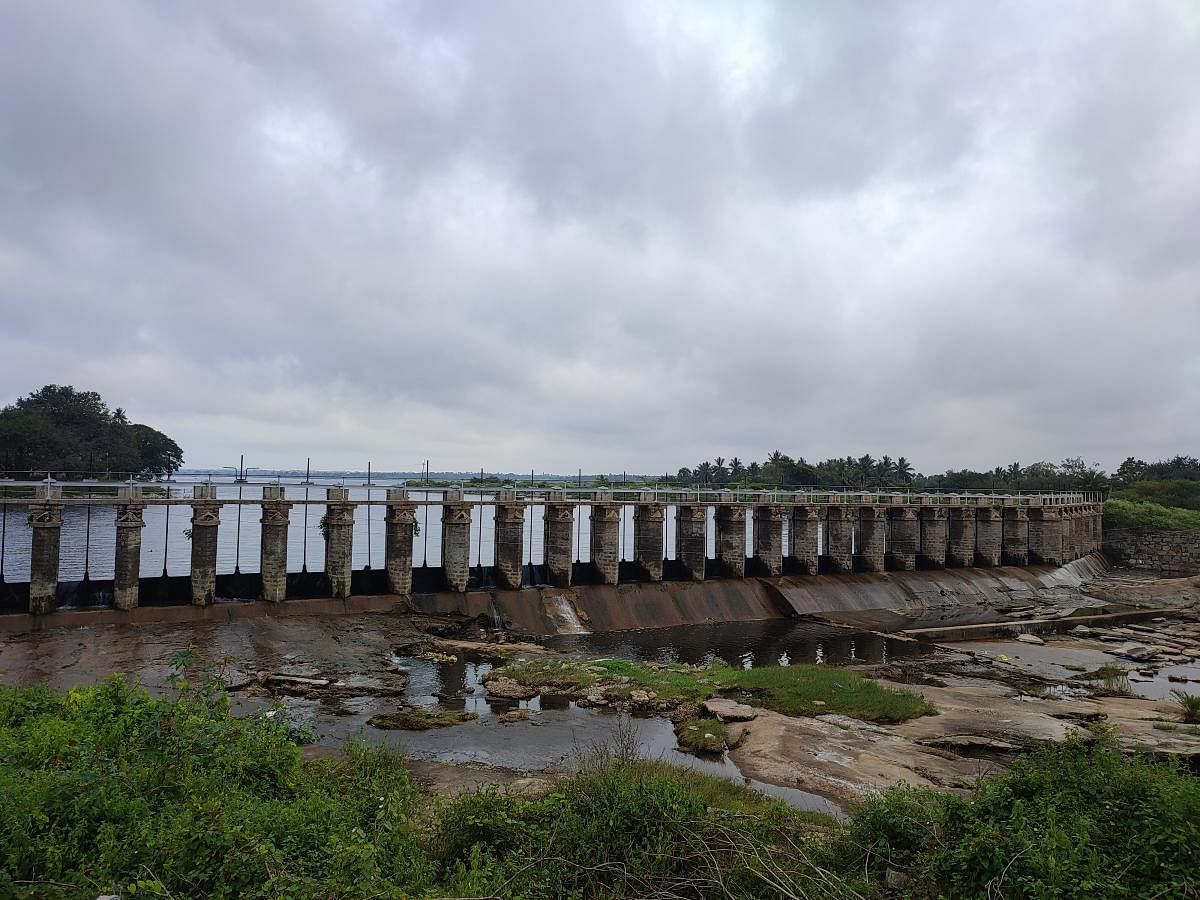 The dam across River Palar in Bethamangala. PHOTOS BY AUTHOR