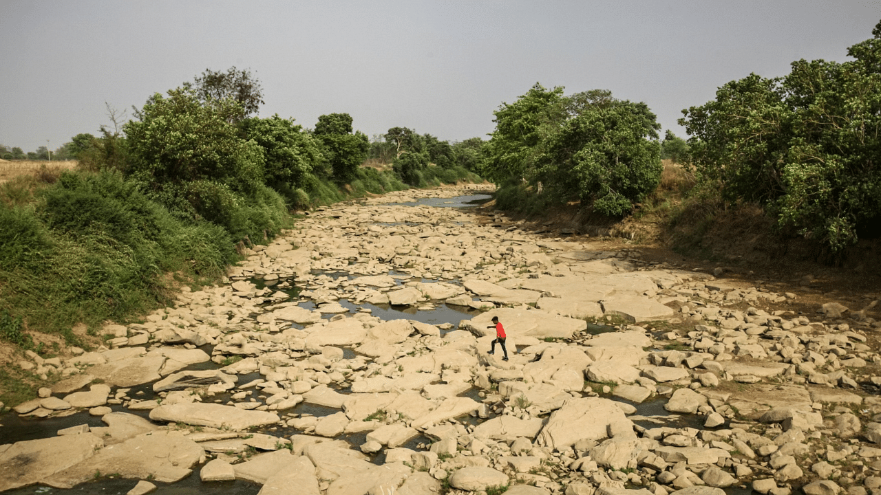 Large parts of Uttar Pradesh have been affected by a lack of rainfall. Credit: AFP File Photo