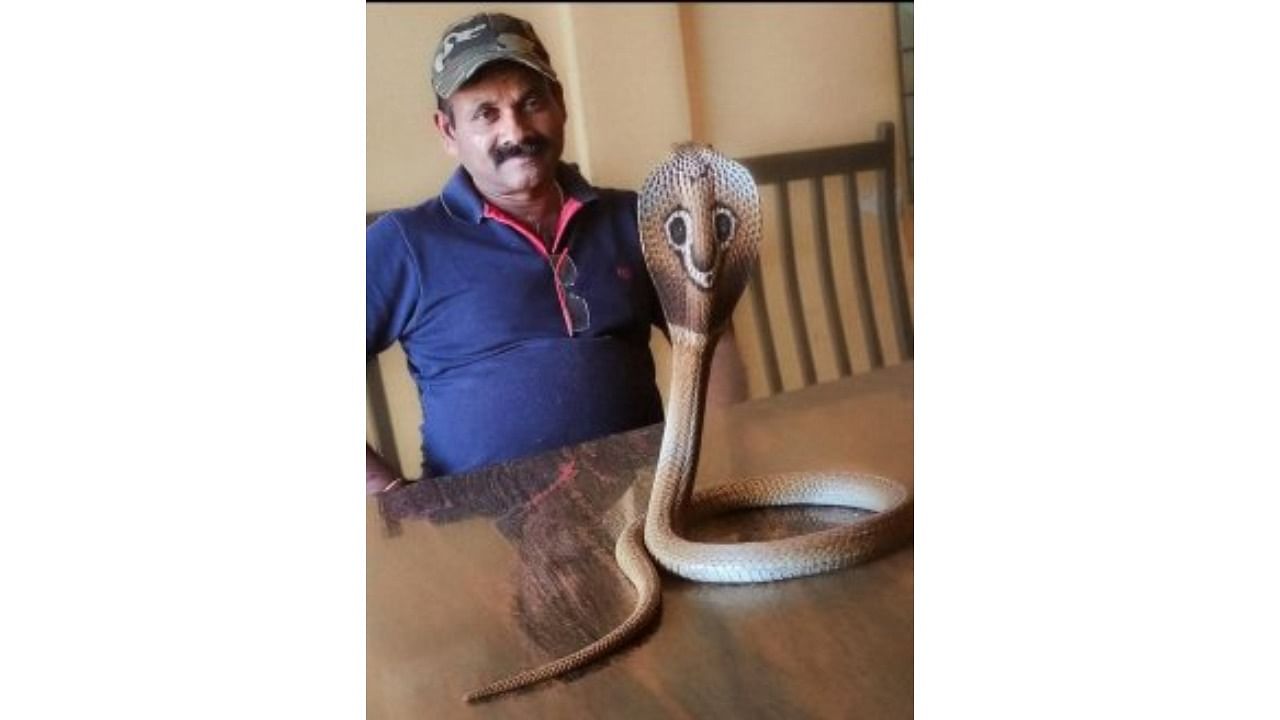 Snake Shaji with a snake. Credit: DH Photo