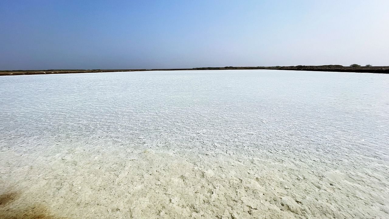 The Dasada salt pans in the Little Rann of Kutch. Credit: Veidehi Gite