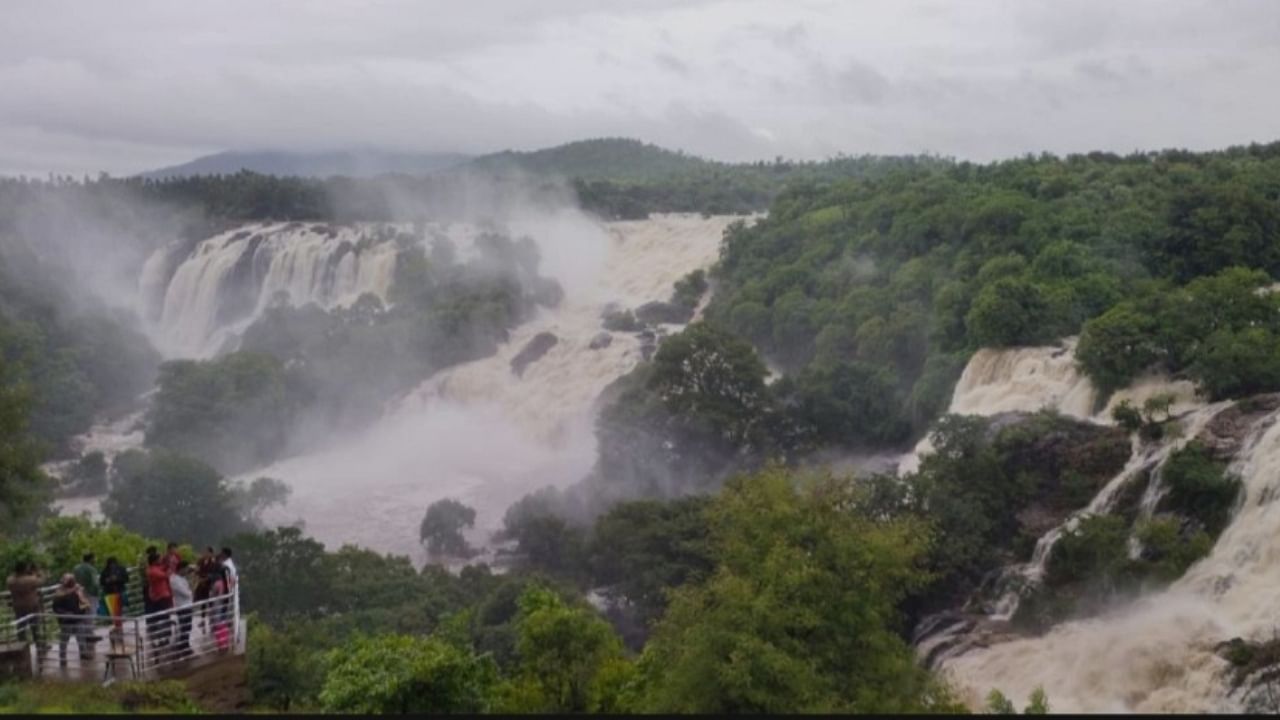 Bharachukki falls. Credit: Special Arrangement