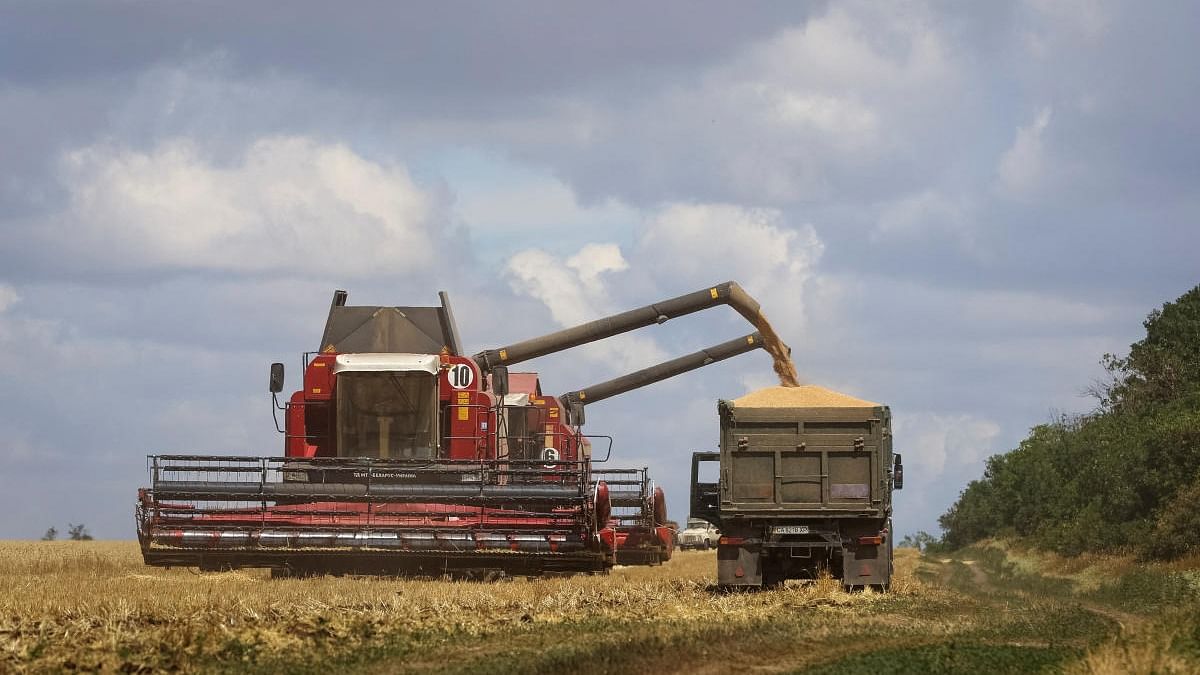 Farmers harvest wheat in Russian-held part of Ukraine's Zaporizhzhia region. Credit: Reuters photo