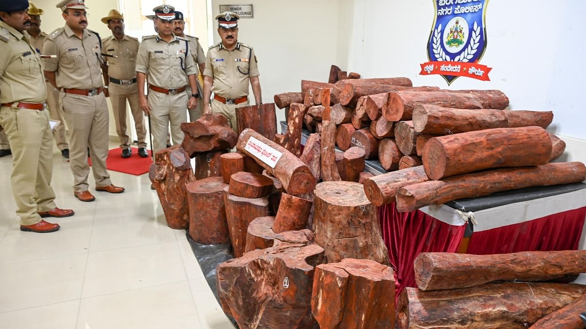Bengaluru police chief C H Pratap Reddy and other officers inspect the seized red sanders. They confirmed the logs are worth over Rs 2.5 crore. Credit: Special arrangement