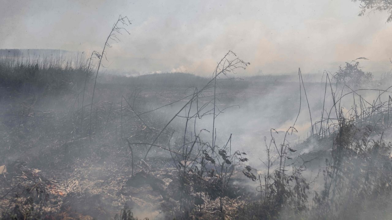 Smoke fills the skies from burning fields after a bombardment in Bakhmut, Eastern Ukraine, on July 31, 2022. Credit: AFP Photo