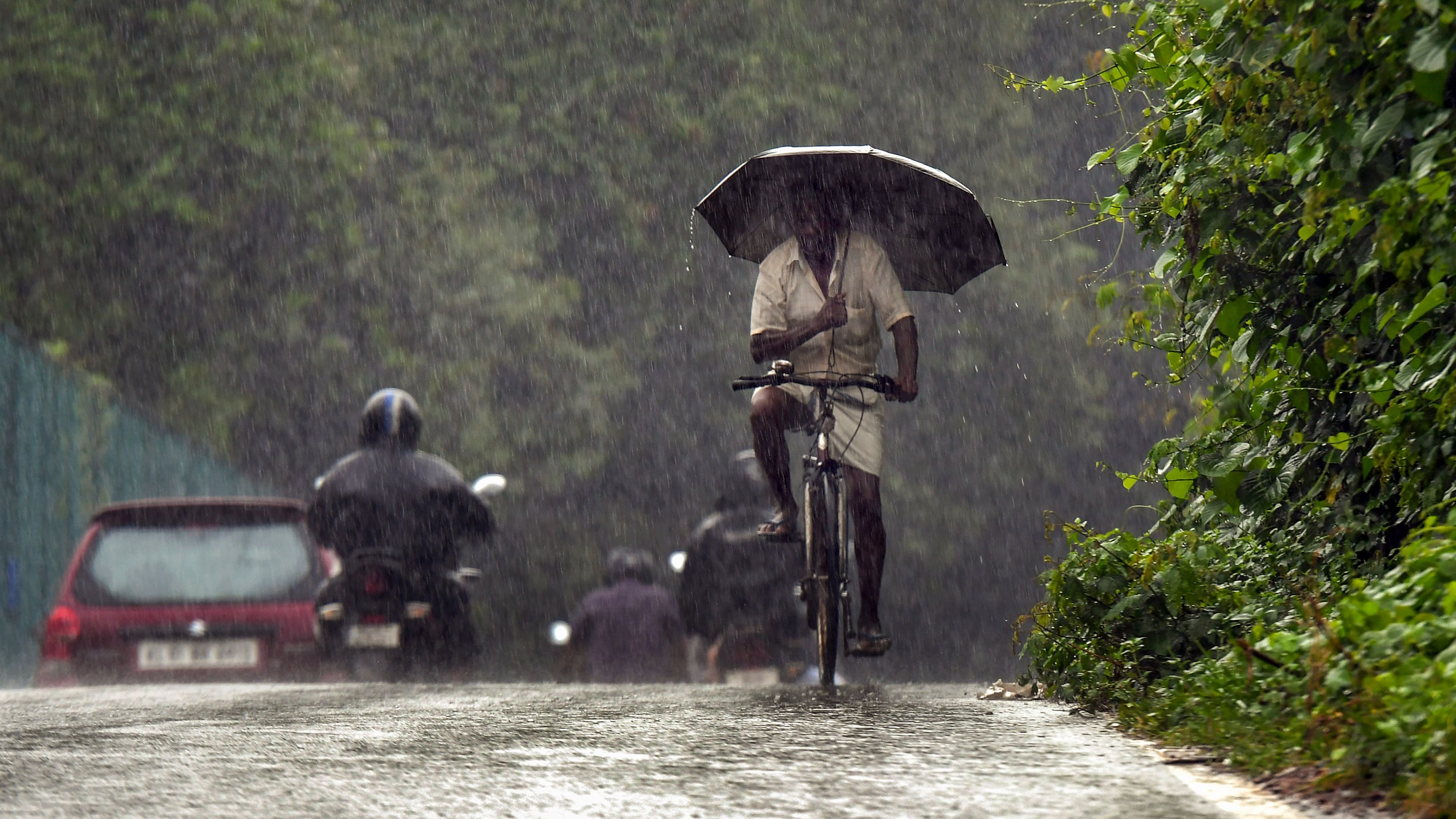 Kerala is set to receive heavy rain for four days starting from Sunday, the India Meteorological Department (IMD) said, adding that it has issued a yellow alert for Alappuzha, Kottayam, Ernakulam, Idukki, Thrissur, Palakkad and Malappuram districts. Credit: PTI File Photo