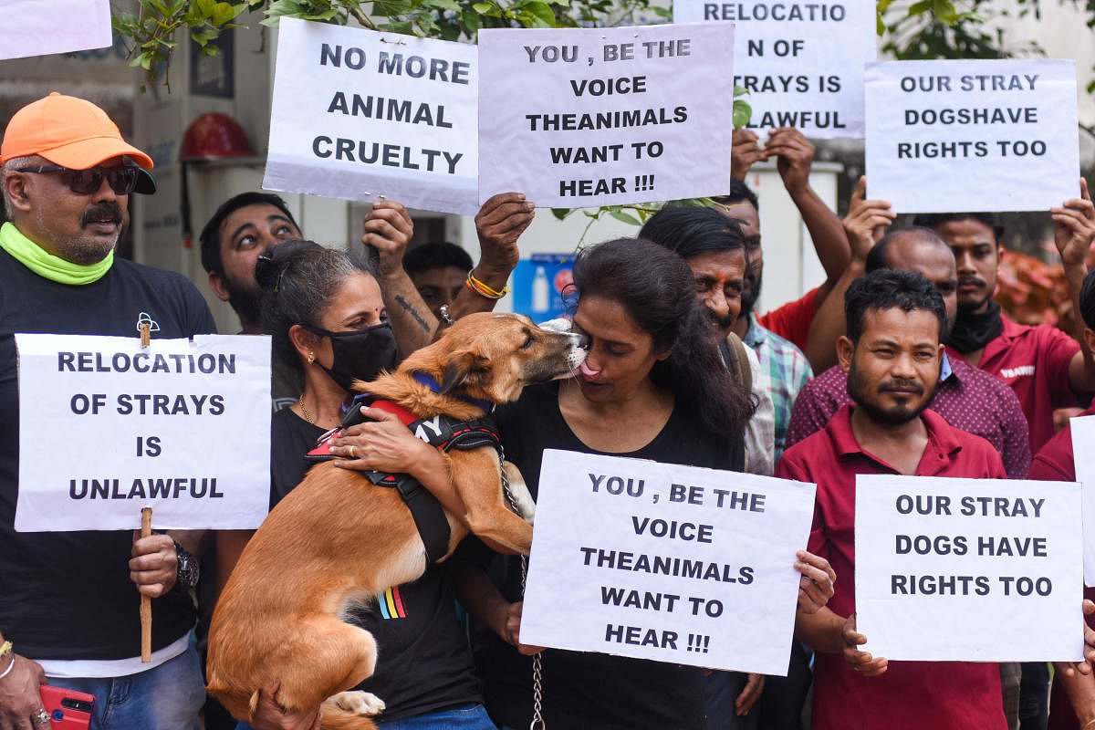 Animal welfare activists protest against relocation of stray dogs following a proposal to make the city free of stray dogs by the government, at Freedom Park, in Bengaluru. Credit: DH Photo