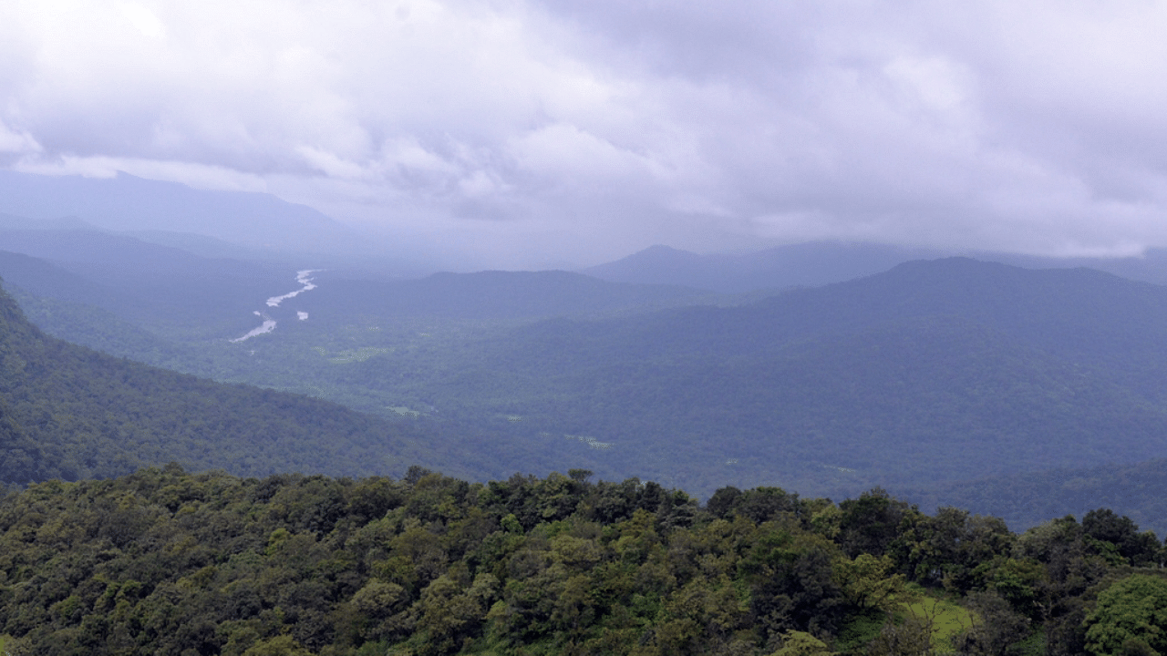The notification identifies 20,668 sq km area of the Western Ghats in the state as ESA. Credit: DH Photo