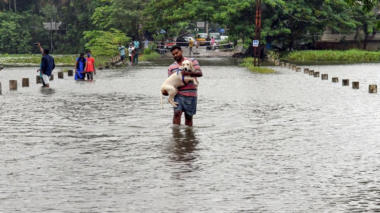 IMD, on Tuesday, had issued a Red alert in 10 districts of the state for August 3. Credit: PTI File Photo