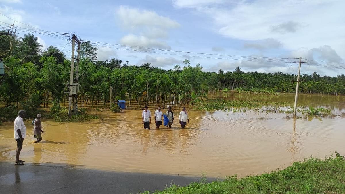 Flooding Kunigal bypass. Credit: DH Photo