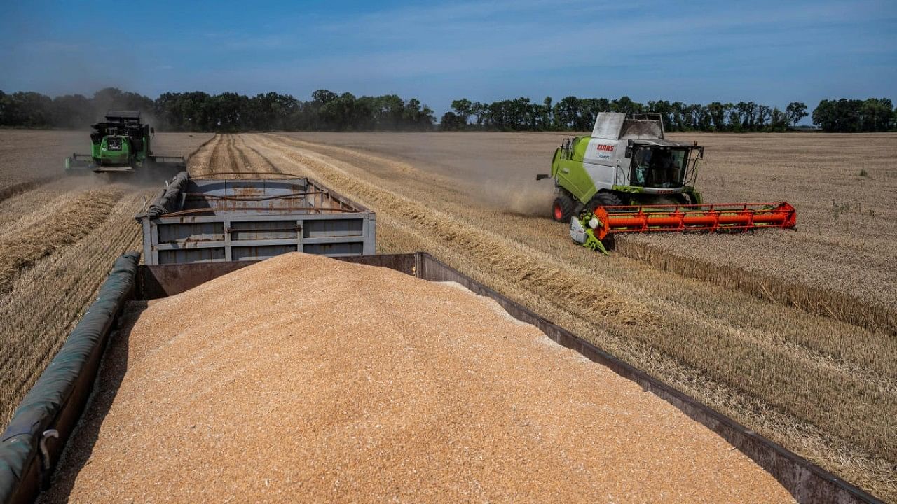 Prices of the essential food grain surged to a record in March after Russia’s invasion of Ukraine choked exports from the Black Sea region. Credit: Reuters File Photo