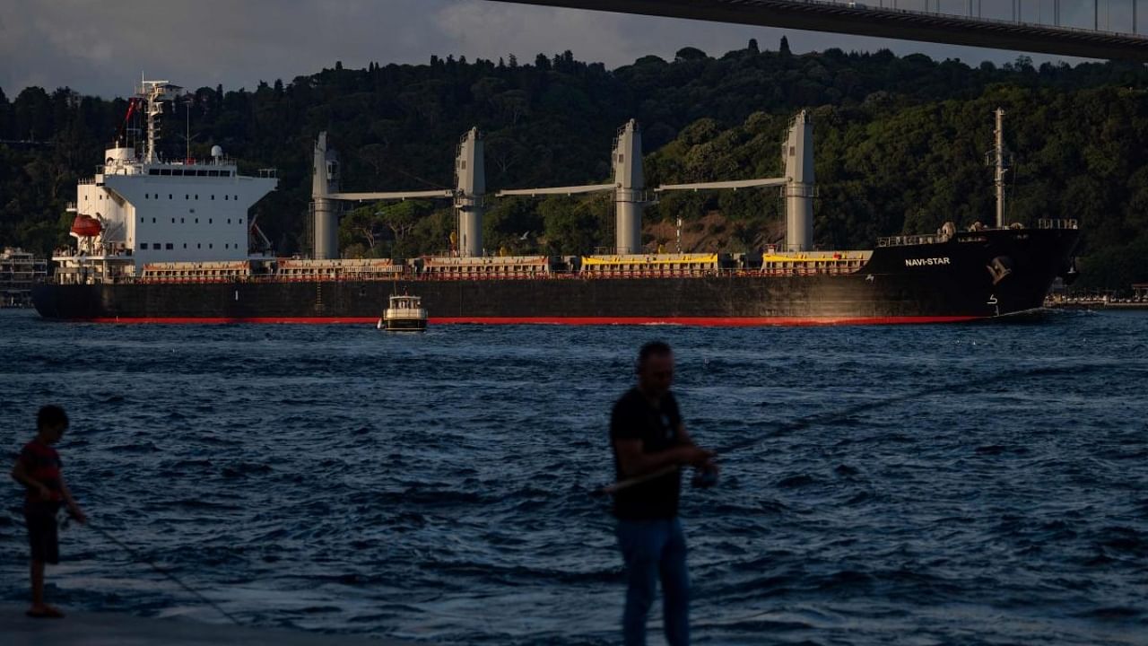 Panama-flagged bulk carrier Navi Star carrying tons of grain from Ukraine sails along the Bosphorus Strait past Istanbul. Credit: AFP Photo