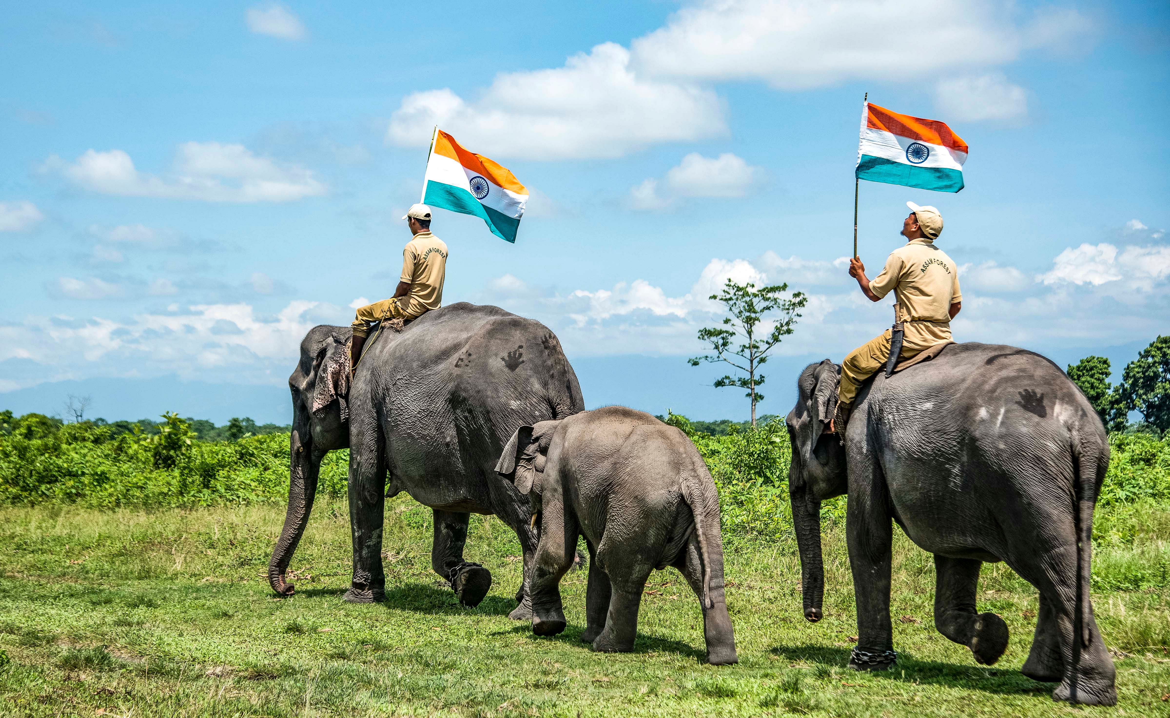 Mahouts holding the national flag ride their elephants. Credit: PTI Photo
