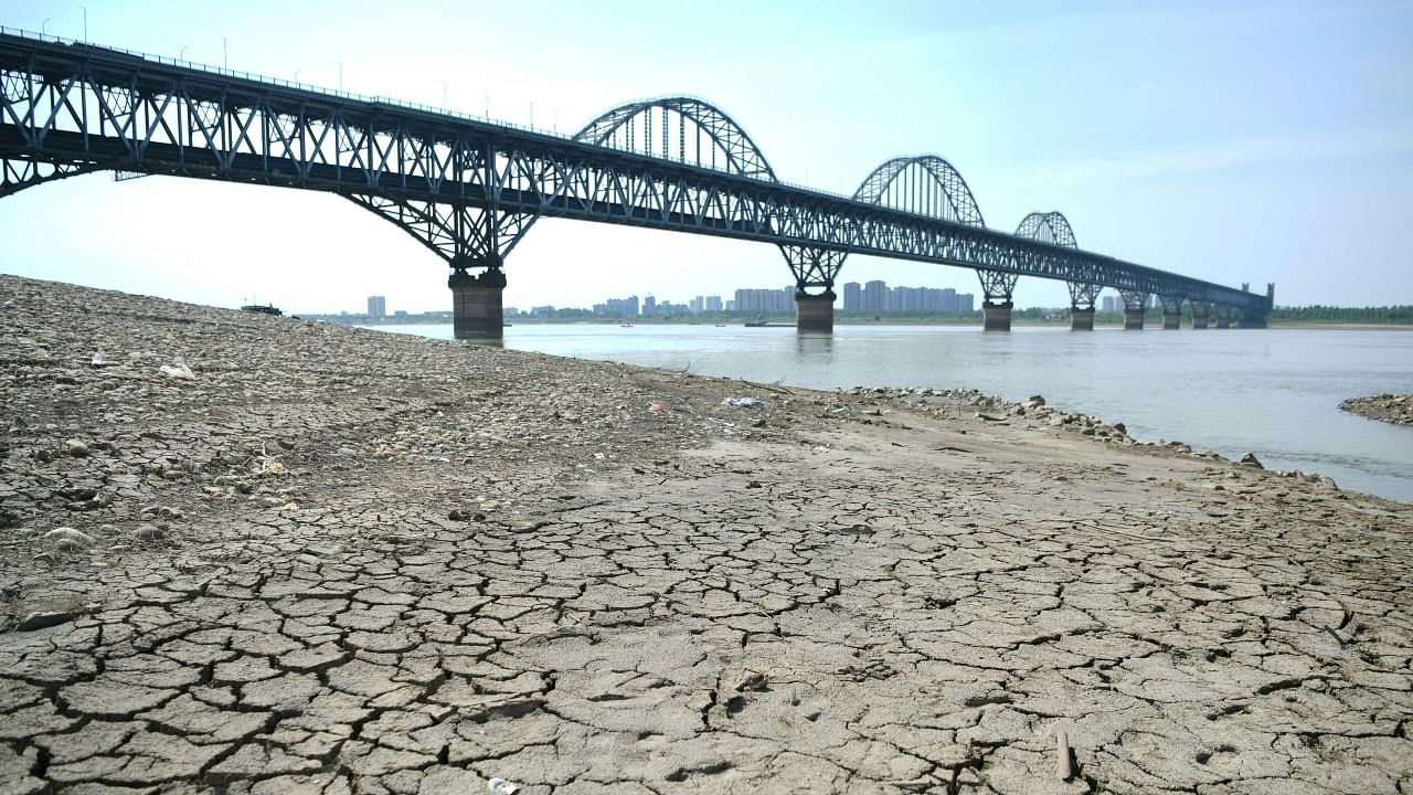 A section of a parched river bed is seen along the Yangtze River in Jiujiang in China's central Jiangxi province. Credit: AFP Photo