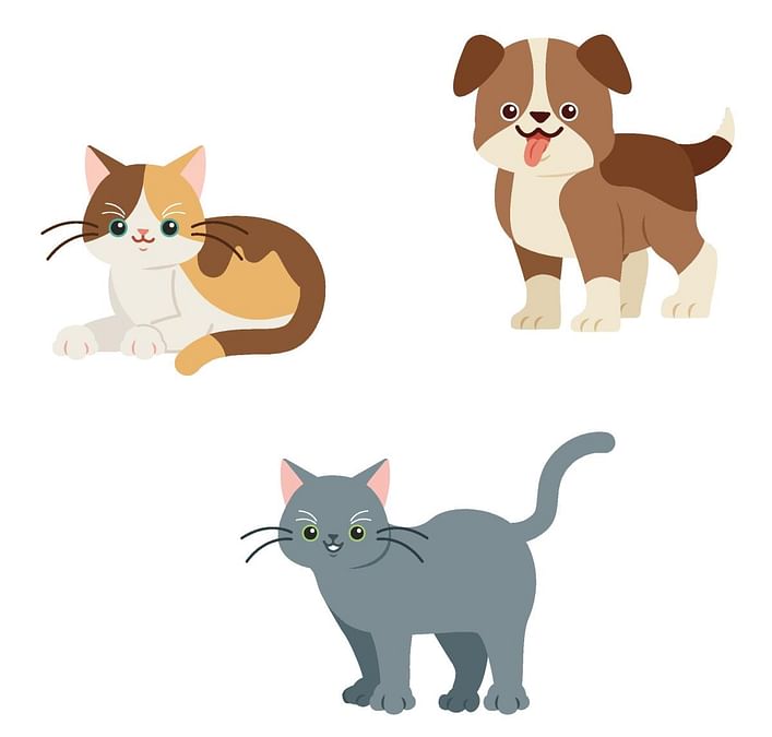 animated dogs and cats