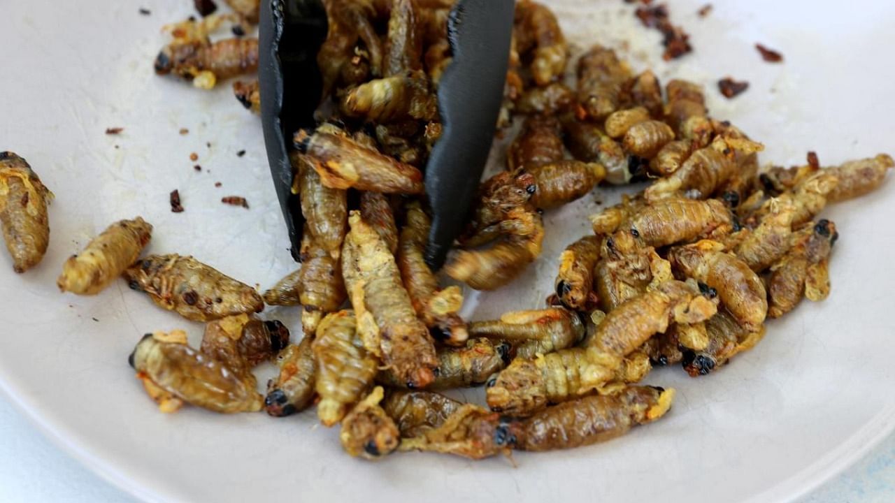 Humans consume about 1 kg of insects every year through various lifestyle and food habits. Representative image. Credit: AFP Photo