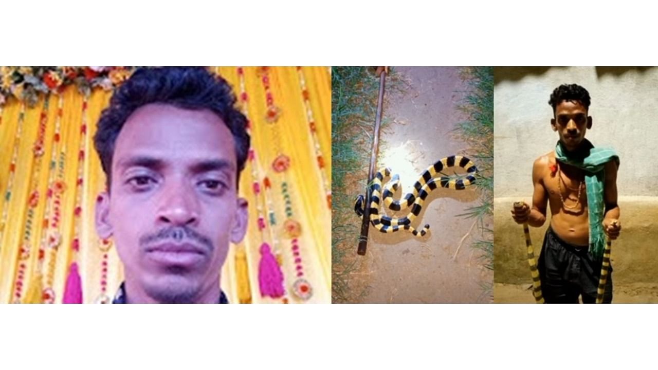 31-year-old YouTuber in Karanjula village of Sambalpur district arrested for illegally possessing six snakes, including cobras and four chameleons. Credit: IANS Photo