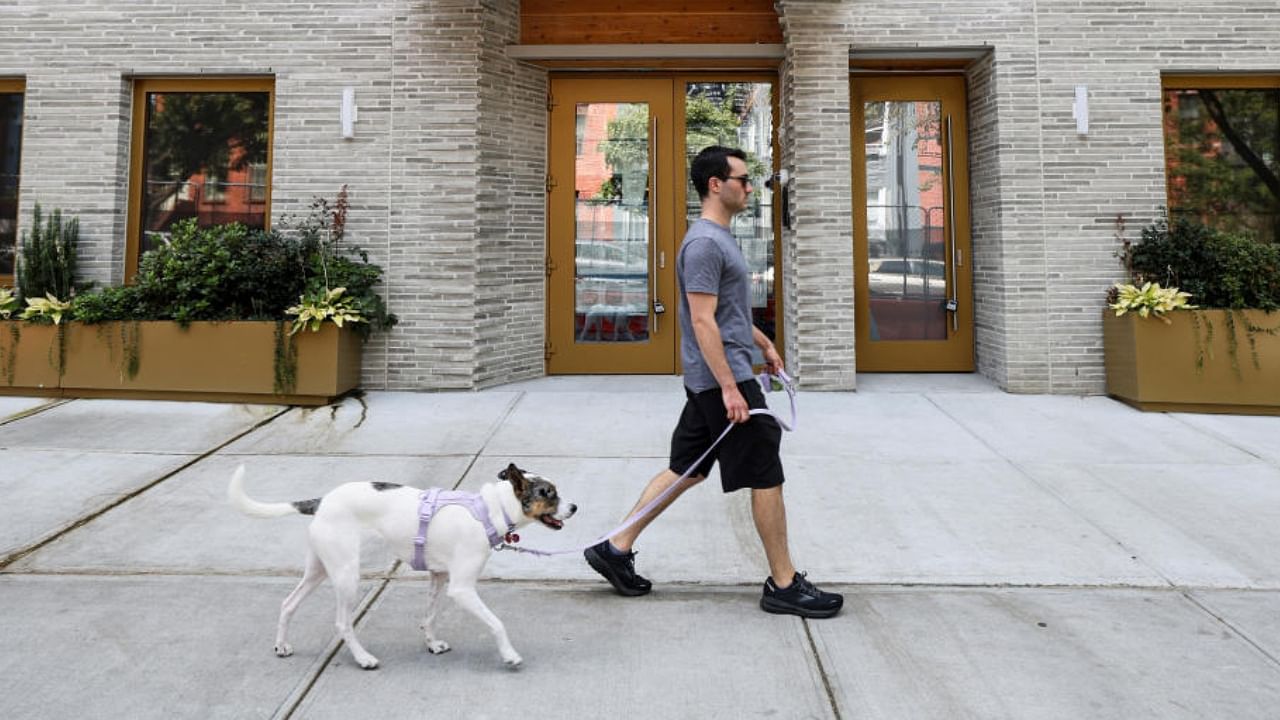 For dogs over ten years old, every extra year of life increased the risk of developing dementia by more than 50 per cent. Credit: Reuters Photo