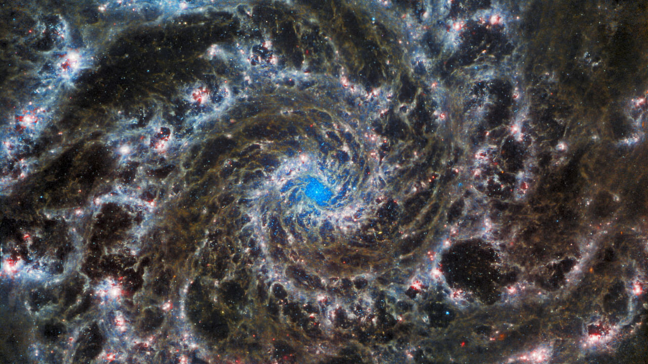 <div class="paragraphs"><p>View of M74, otherwise known as the Phantom Galaxy, taken by the NASA/ESA/CSA James Webb Space Telescope. </p></div>