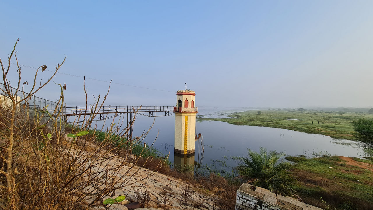 Hesaraghatta Lake. Credit: Unsplash Photo