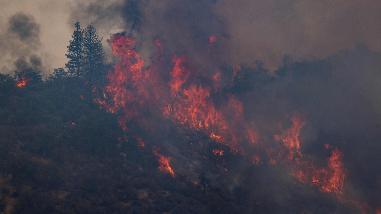 Flames make an upslope run at the McKinney Fire, in the Klamath National Forest near Yreka, California, on August 2, 2022. Credit: AFP File Photo