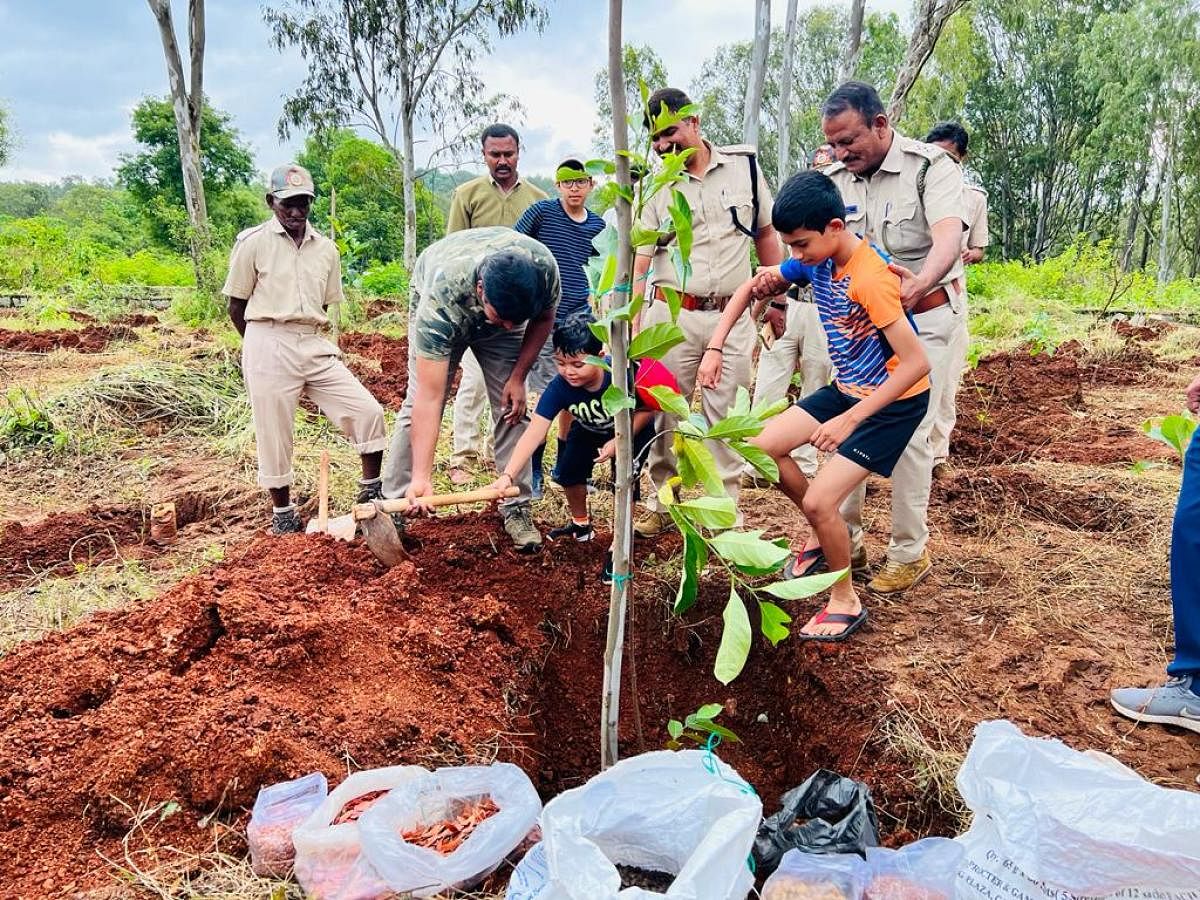 Forest officers and citizens plant saplings in the Turahalli reserve forest on Sunday. Credit: DH Photo
