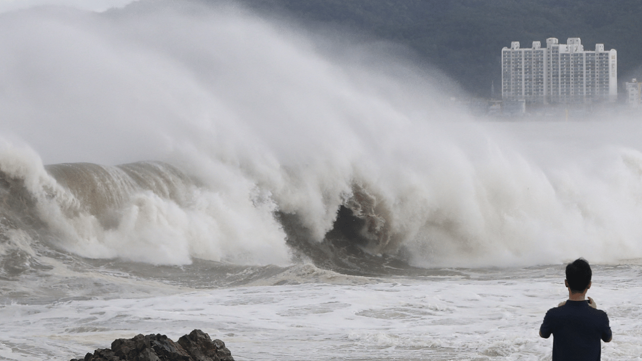 A man looks at a high wave caused by Typhoon Hinnamnor in Ulsan. Credit: Reuters Photo