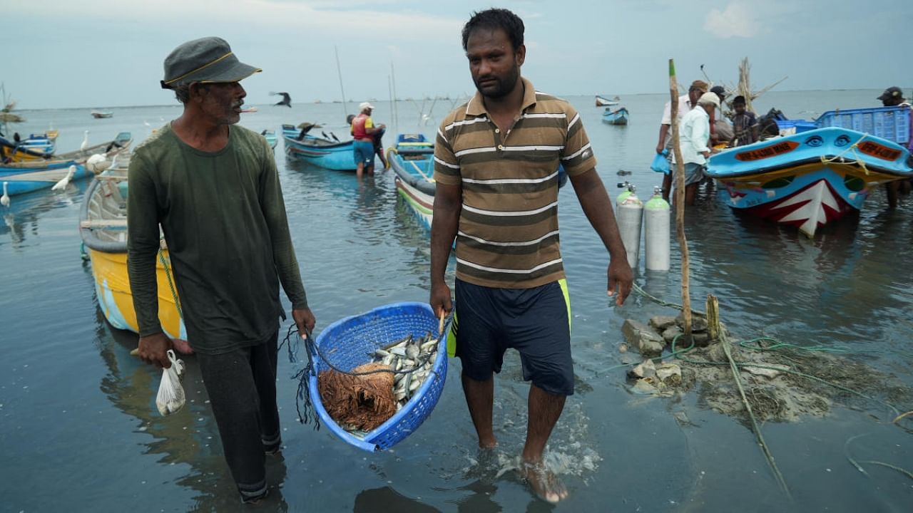 Local fisherman Ebert Rajeevan (right) and a colleague haul a bucket of freshly caught fish from a fishing boat to the shore in Mannar, Sri Lanka, August 16, 2022. Credit: Reuters Photo