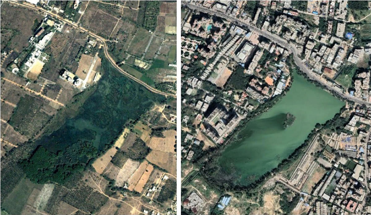 Change in landuse around Kaikondrahalli lake as seen in Google Earth photos from 2002 and 2022. Credit: DH Photo