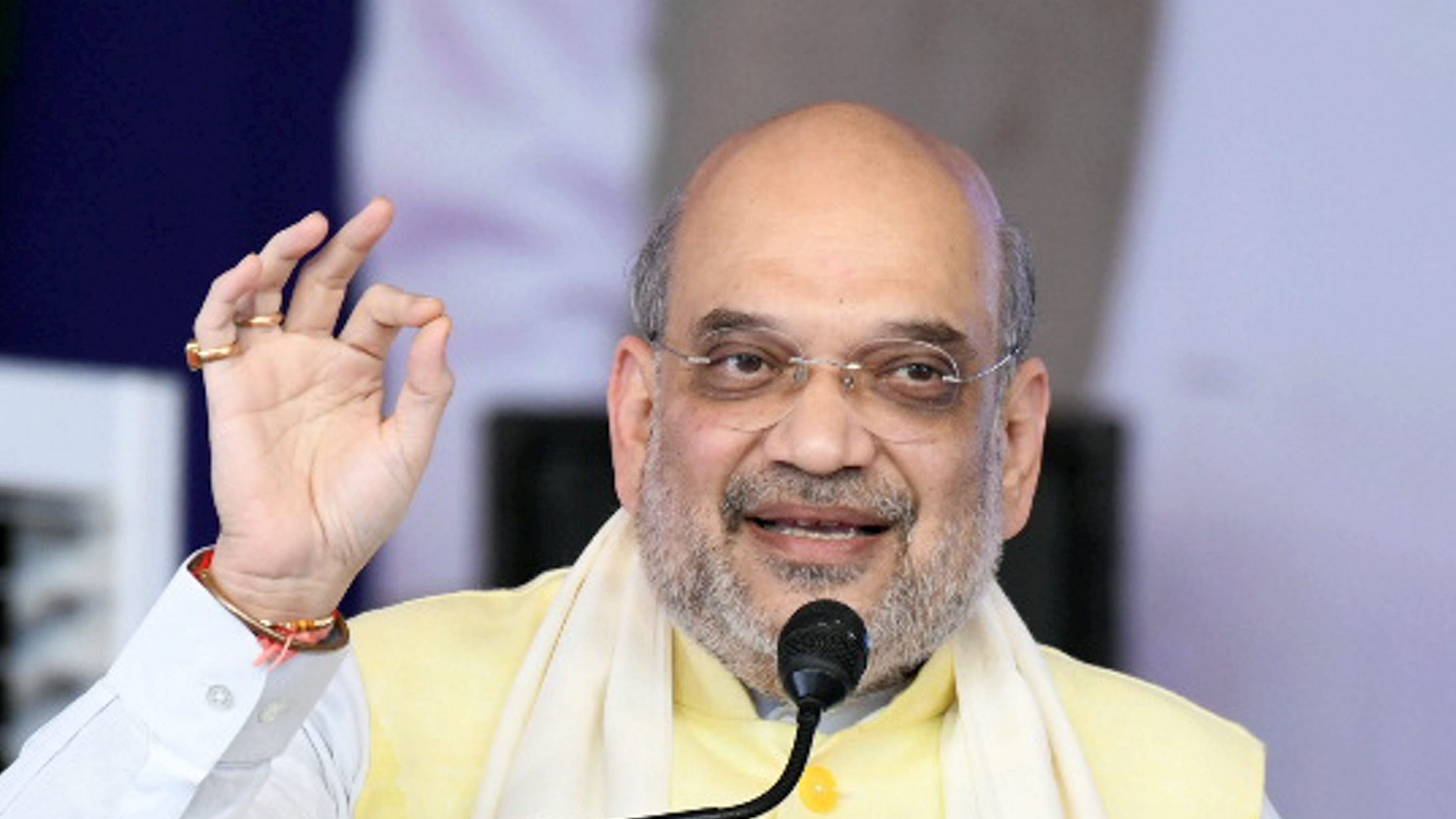 Shah was speaking at the International Dairy Federation World Dairy Summit (IDF WDS) 2022. Credit: PTI File Photo