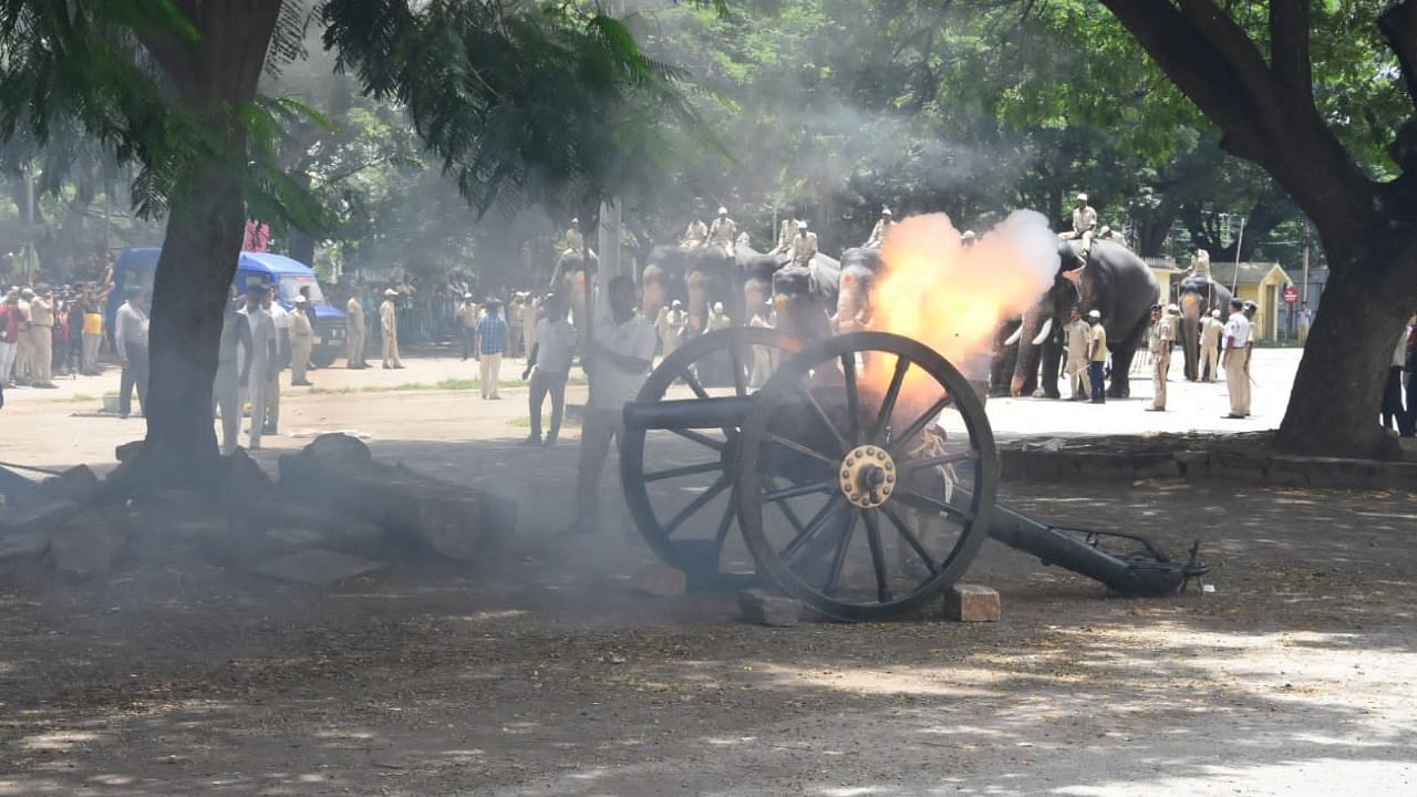 Dasara jumbos participate in the cannon-firing drill near Mysuru Palace, on Monday. Credit: DH Photo