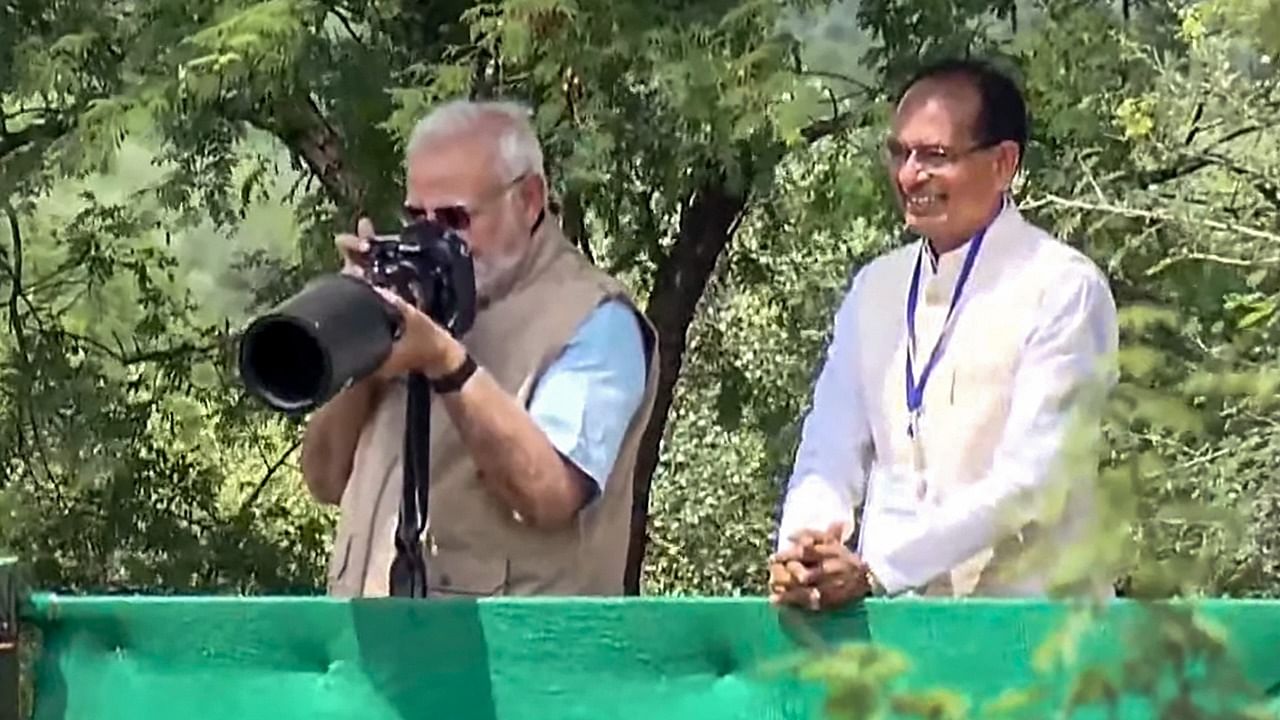 Prime Minister Narendra Modi clicks photographs as MP CM Shivraj Singh Chouhan looks on, after releasing cheetahs inside a special enclosure of the Kuno National Park in Madhya Pradesh. Credit: PTI Photo