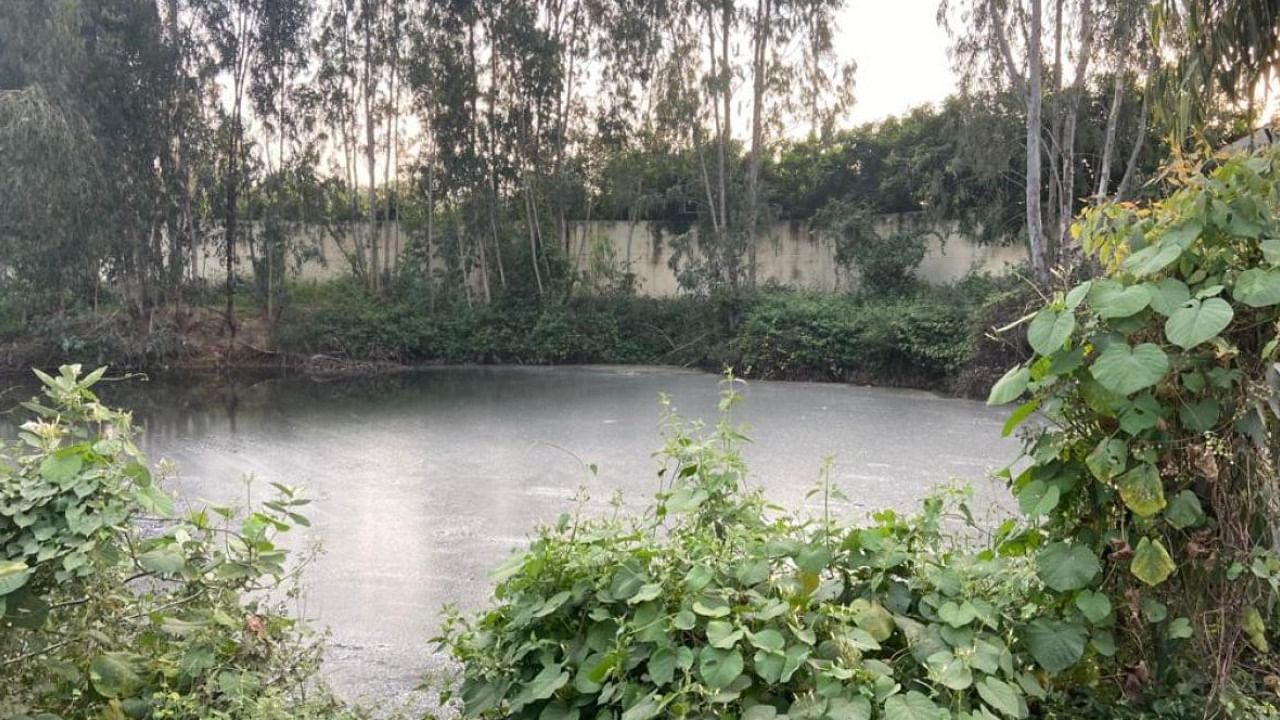 A view of the leachate pond near the Chikkanagamangala Waste Processing Plant. Credit: DH Photo