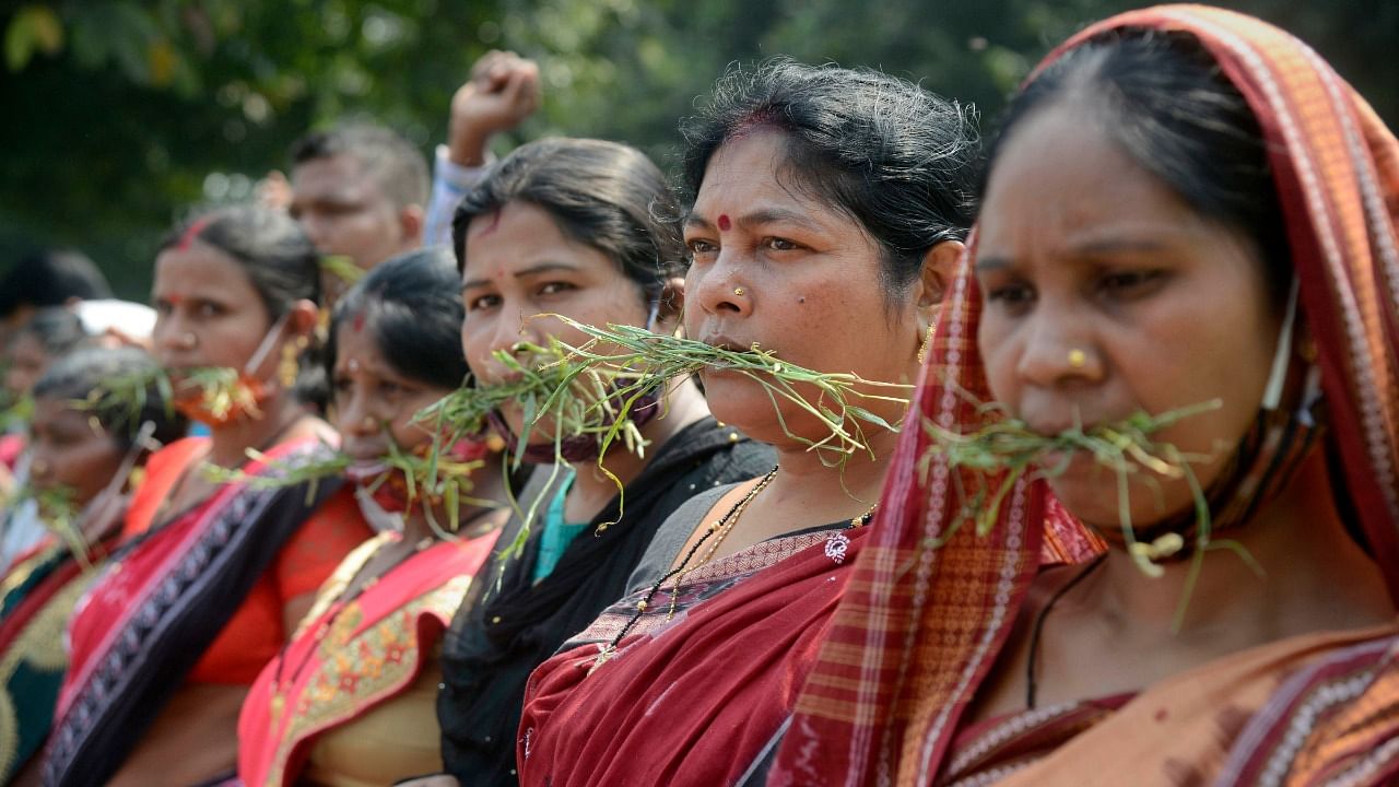 'Gaon Sathi' women workers put grass in their mouth as they stage a protest demanding hike in their monthly wages and to give them permanent status. Credit: PTI Photo