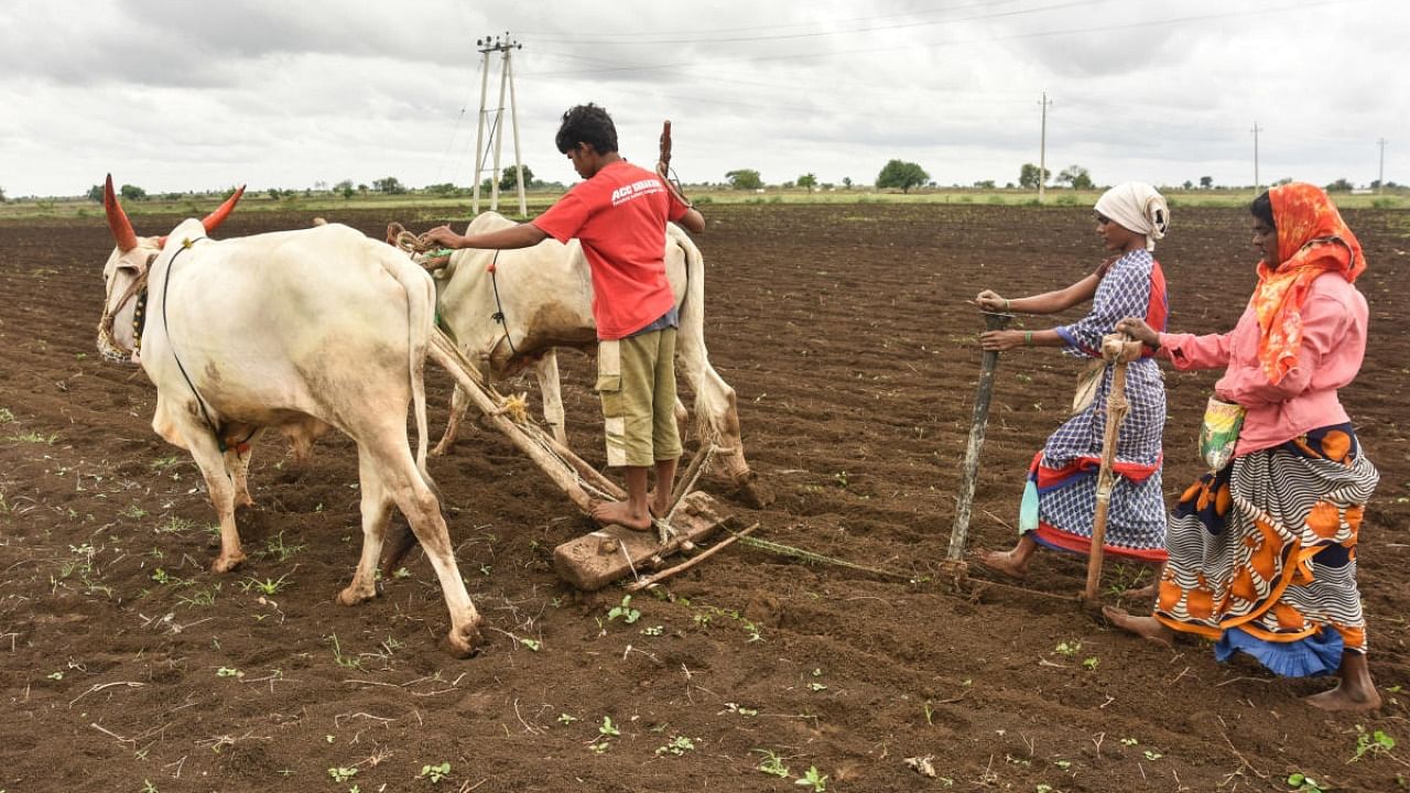 Representative image. Credit: PTI Photo