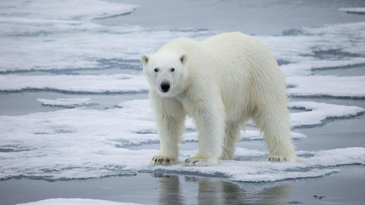 Representative image. Credit: AFP Photo