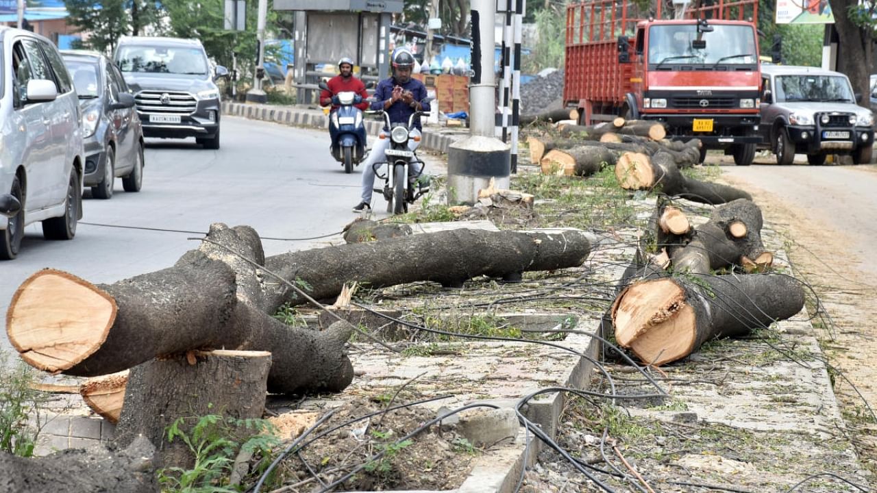 Tree felling began on the Outer Ring Road (ORR) between Kempapura and Hebbal on Wednesday. Credit: DH Photo/B K Janardhan