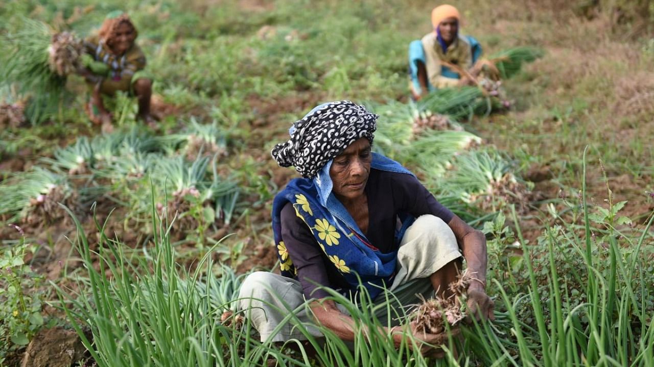 In 2020-21, the ministry said, 99.89 per cent of the total demand of work under the Act was met and 389.09 crore person-days of work was generated. Credit: AFP Photo