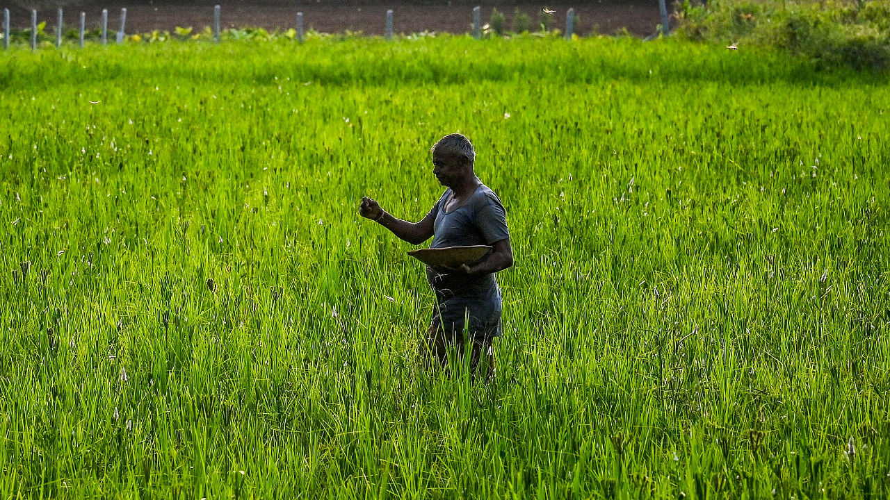 Representative image. Credit: AFP Photo