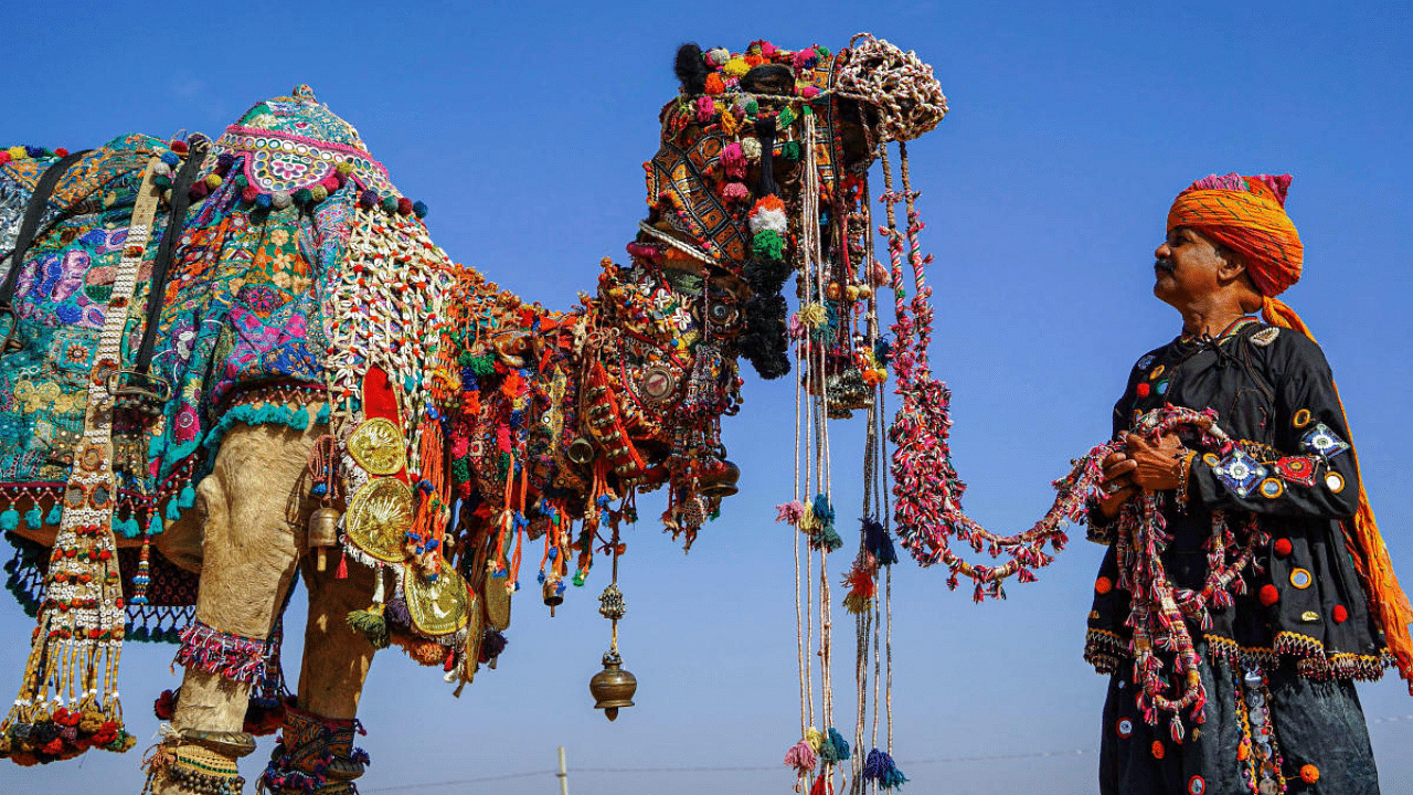 A camel herder with his camel during the annual Pushkar Camel Fair. Credit: PTI Photo