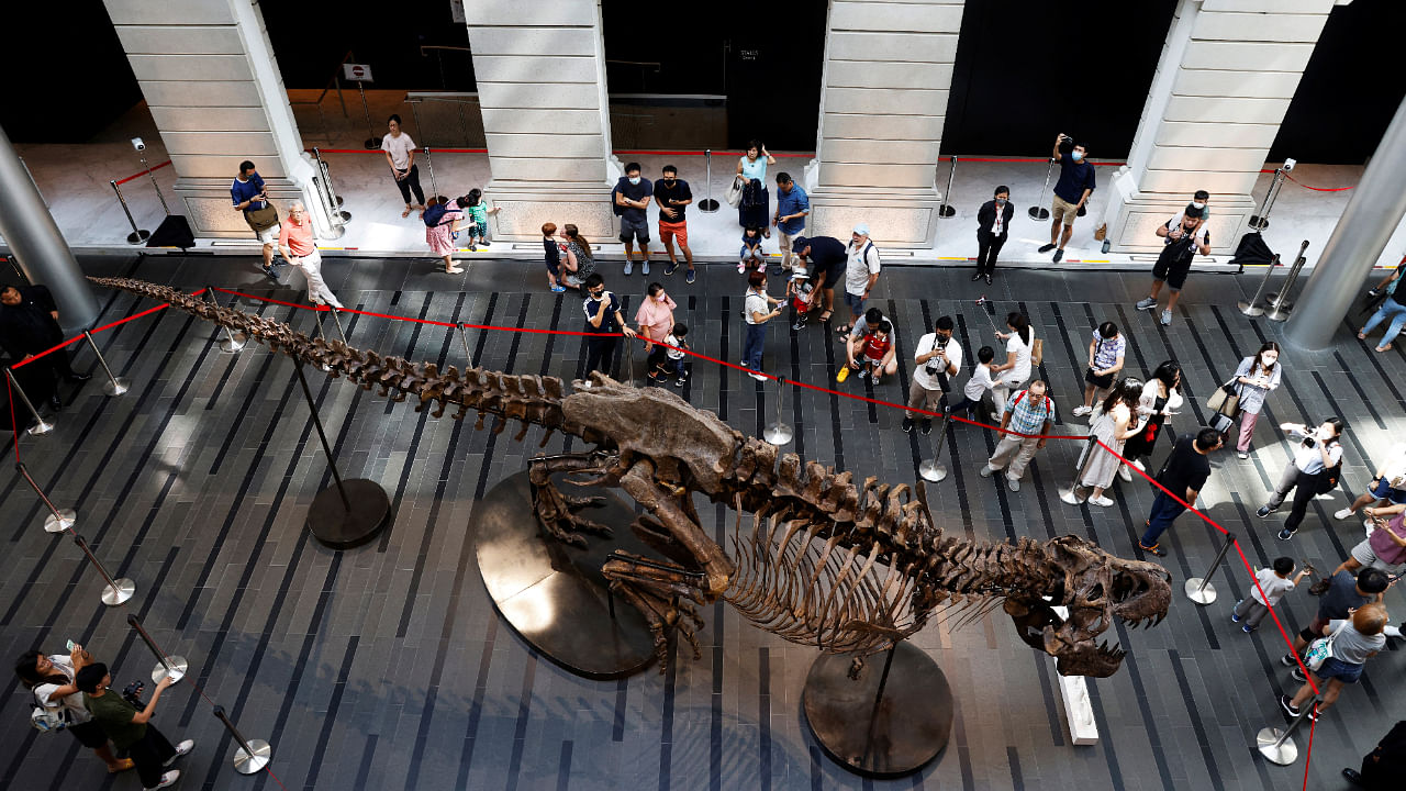 People take photos of Shen the T. rex, a 1.4 tonne Tyrannosaurus Rex dinosaur skeleton that is being offered for auction by Christie's, displayed at the Victoria Theatre & Concert Hall in Singapore. Credit: Reuters Photo