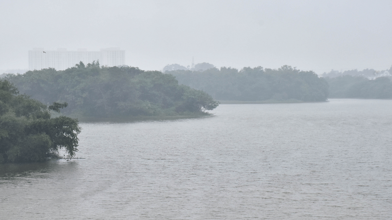 A view on Hebbal lake during the rain in Bengaluru on Thursday. Credit: DH Photo/BK Janardhan