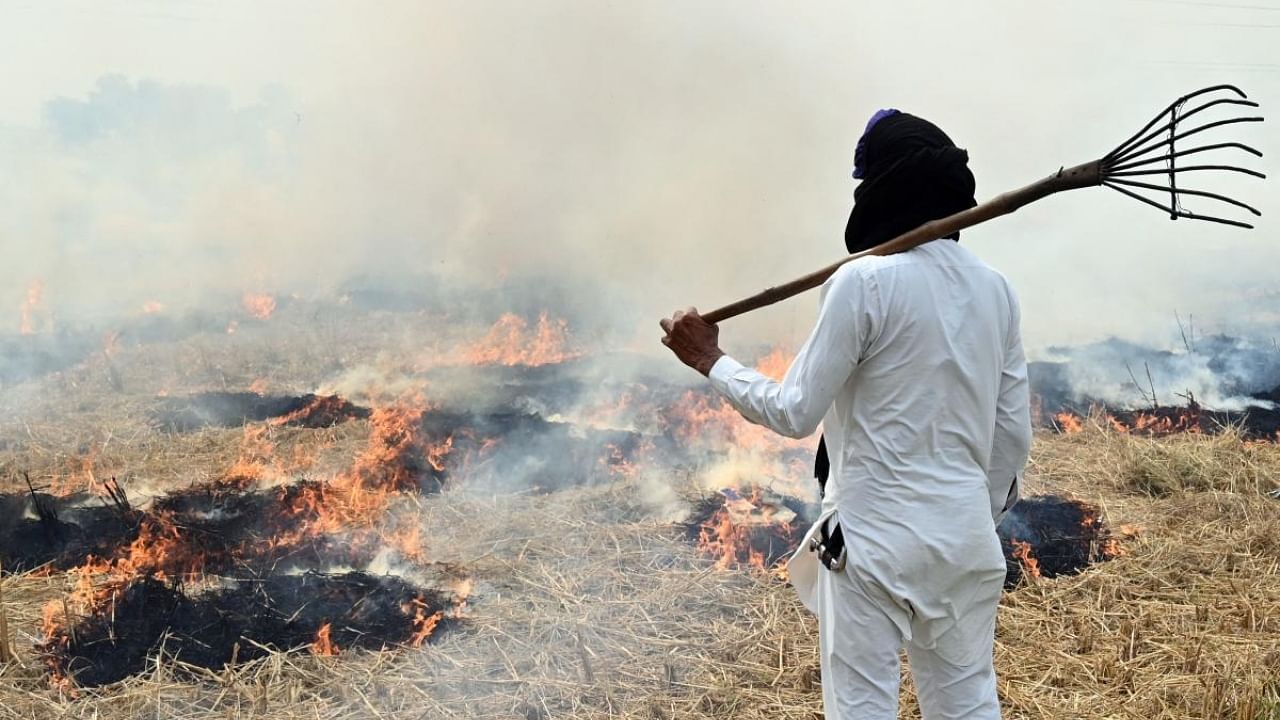 Farmers set their fields on fire to quickly clear off the crop residue before cultivating wheat and vegetables. Credit: AFP Photo